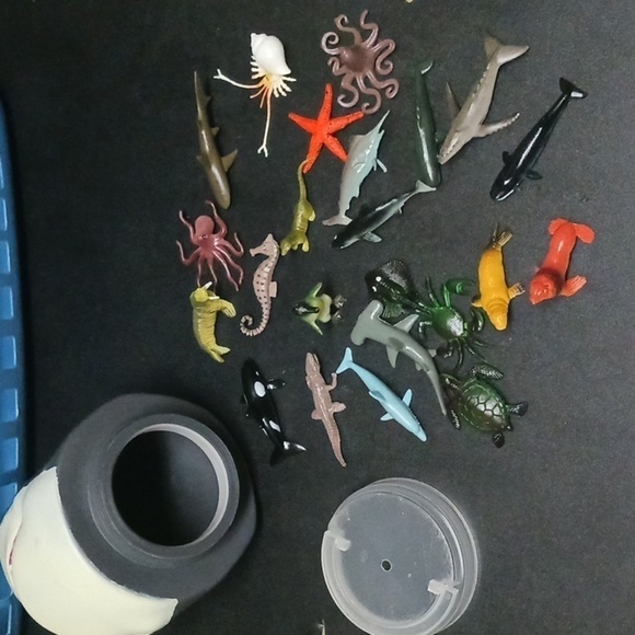 Shark Case - Picture 4 of 8